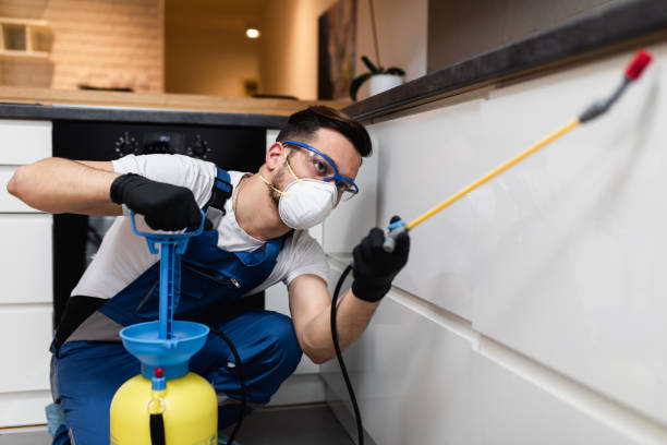 Best Exterminator Services  in Rolesville, NC