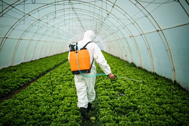 Best Pest Prevention Services  in Rolesville, NC