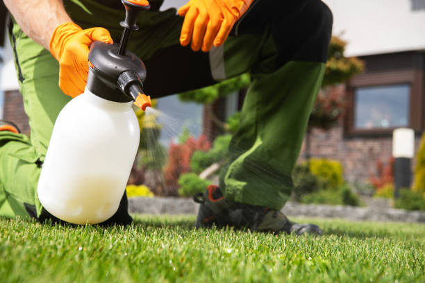 Best Best Pest Control Companies  in Rolesville, NC