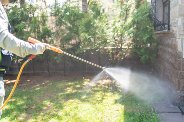 Best Rat Extermination Near Me  in Rolesville, NC