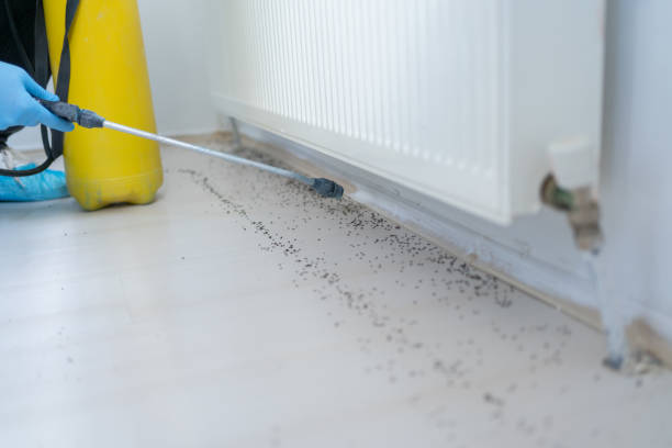 Pest Control Cost in Rolesville, NC