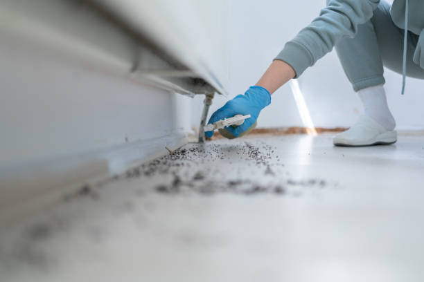 Best Pest Control Cost  in Rolesville, NC